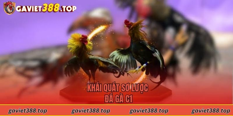 Khái quát sơ lược đá gà C1