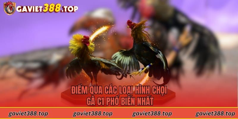 Những ưu điểm nổi bật khi tham gia vào đá gà C1