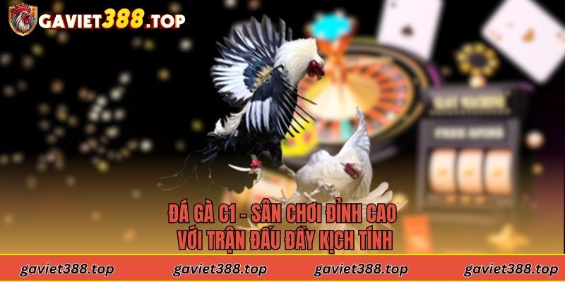 Đá Gà C1 - Sân Chơi Đỉnh Cao Với Trận Đấu Đầy Kịch Tính